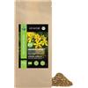 Alpi Nature Iperico Tisana BIO 500g, Iperico Pianta di San Giovanni, Erba Taglia