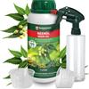 Veddelholzer 1000 ml di olio di neem naturale pressato a freddo, set completo co