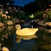 Luci galleggianti per piscina, luci solari a LED, galleggianti per patio,