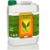 Argan Italia Olio di Neem solubile in acqua da 5 lt.