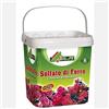 AL.FE. SOLFATO DI FERRO GRANULARE ANTIMUSCHIO 5 KG RINVERDENTE CONCIME PER PRATO PROMO