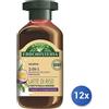 Antica erboristeria 12x Bundle Antica Erboristeria Shampoo Latte Riso 2In1 Idra 250Ml