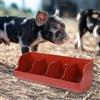 Maialino Foraggio Slot Piccione Coltivatori di piccoli animali Mangiatoia