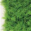 Does not apply Divy Panel Fern Siepe Artificiale Modulare 3D Felce 50X100 Cm | Pannello per Gia