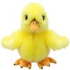 The Puppet Company Wilberry - Minis - Chick Soft Toy - WB005014