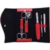 Alpen SET MANICURE ALPEN 5 ATTREZZI INOX CON ASTUCCIO PELLE ROSSA