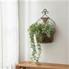 Fioriera da Parete Vintage Cestino da Parete in Ferro Shabby Chic per Cortile