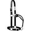 Weaver Equine Weaver Leather Original Adjustable Nylon Halter con Finitura cromata., 35-7376-BK, Nero, 1 Large Horse