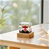 Cubo Luminoso con Vulcano LED Lampada Vulcano Moderna per Ufficio,