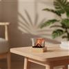 Cubo Luminoso con Vulcano Moderna Lampada Vulcano Compatta per Scrivania