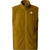 THE NORTH FACE NF0A7SSL1OB1 Men's 100 Glacier Vest - Eu Gilet sportivo Uomo MOSS GREEN Taglia S
