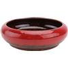 Pot di giardinaggio succulento di fiore ceramico idroponico 1pc