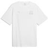 Puma PL Graphic Tee 2 Magliette Uomo (Pacco da 1)