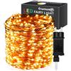 Erwawee LUCI ALBERO DI NATALE FILO DI RAME 100M 1000 LED CATENA LUMINOSA BIANCO CALDO DE