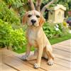 Statua Di Labrador, Statua Di Cane Realistica, Scultura Di Cane Naturalistica