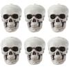 6 Pcs Teschi Piccoli Plastica Teschio Miniatura Cranio Realistico