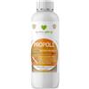 Does not apply by SYMBIAGRO - PROPOLI, Potenziatore Naturale Della Difesa Delle Piante, Elevata