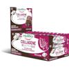 Equilibra Alimenti Proteici, Barrette Proteiche, Collagene Beauty Bar, 35% Proteine, 24x40g, Barrette con 2,5 g di Collagene, Low Sugar, High Protein, Senza Glutine, Gusto Cacao