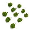 Brand New Bring Life to Your Track Modello di alberi 79 cm per Giardino Wargame Treno Ferr