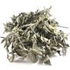 Bongivoanni Farine e Bontà Naturali Salvia Contusa Essiccata g.10 Vasetto Vetro | Salvia Frantumata Premium per Cucina Gourmet, Tisane Digestive & Condimenti | Aroma Intenso, Qualità Superiore, Vasetto Salvasapori (Max Freschezza)