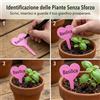 20 Pezzi Etichette per Piante a Forma di Cuore, Cartellini per Giardinaggio