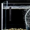 10 Pcs Temperature Measurement Fish Tank Termometro Adesivo Bastoncino Digitale