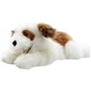 The Puppet Company - Playful Puppies - Brown & White Dog Hand Puppet - PC003008