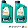 Petronas 2 Lt Olio Petronas Syntium 5000 Xs 5W30 Syntium Prime API SN C3 Dexos 2 Dexos D