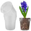 TSLBW 5 Pieza Vaso Trasparente per Orchidee Fiori in Plastica con Fori Drenaggio per
