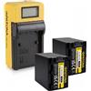 PATONA 2x Batteria Patona + caricatore Synchron LCD USB per Sony HDR-PJ780E,HDR-PJ780VE
