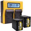 PATONA 2x Batteria Patona + caricabatteria DUAL LCD per Sony HDR-PJ780E,HDR-PJ780VE