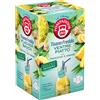 Pompadour Tisana Fredda Ventre Piatto Finocchio Ananas e Zenzero Effetto 18 bust