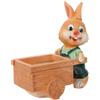 Contenitore succulento di fiore succulente di fiore succulente da 1 pc.