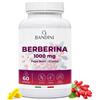 BANDINI Berberina 1000mg Pura Alto Dosaggio Pura Berberina hcl da Berberis Aristata al