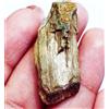 Gemma Ruvida Crisolberillo Occhio Di Gatto Naturale 26.20 Cts