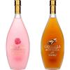 Bottega - Bocca di Rosa Rosolio Liquore alle Rose - 50cl & Bottega Cannella Liquore - 500 ml
