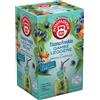 Pompadour Tisana Fredda Gambe Leggere Ortica Mirtillo Senza Zuccheri 18 bustine