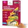 LERAVA Bacillus Thuringiensis Kurstaki (10 g) Insetticida biologico per piante