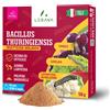 LERAVA Bacillus Thuringiensis Kurstaki (50 g) Insetticida biologico per piante