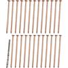 Tree Killer Nails Ceppo e Radice Killer Set di Unghie in Rame da 4 Pollici per Soluzioni Paesaggis
