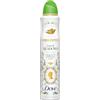 Dove Deodorante Spray Advanced Care Bridgerton Love Meadows, Limited Edition, Protezione 72 Ore Sudore e Odori, con Pro-Ceramide Technology, Fragranza Bergamotto e Fiori di Campo, 200 ml