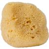 Croll & DENECKE L100 - Spugna Naturale a pori Sottili, levantina dal Mar Mediterraneo, per la Cura del Viso, Dimensioni: 10 cm