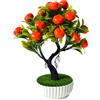 Bonsai di Frutto Decorativo Scala Piccola per Tavolo per scaffale o Reception