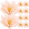 10 Pcs Fiore Di Carta Crespa Decorazioni Per Baby Shower Crepe Fiori