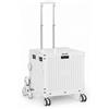 Carrello Spesa Pieghevole con Ruote per Scale, Appartamento, Anziani, Studenti