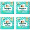 Pampers Baby Dry Misura 1 (2-5Kg) 96 Pannolini