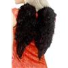 SMIFFYS Ali da angelo con piume, nere, 30cmx40cm / 12inx16in Halloween