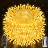 Ollny Catena luminosa per esterni, 100 m, 1000 LED, catena luminosa con telecoma