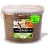 UGF Underground Food UGF - Vermi della farina essiccati di prima qualità - 460 g in un secchio da 3 l