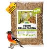 EWL Naturprodukte Vermi della Farina essiccati 860 g (5,5 L), Snack a base di Insetti per Uccelli,